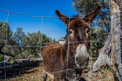 Hostel S�ller - Albergue Juvenil