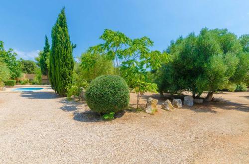 Villa Finca Sa Plana