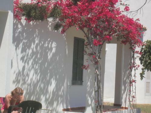 Apartamentos Las Brisas I & II