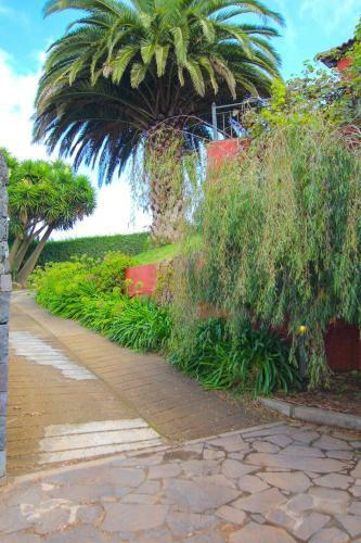 Live Tacoronte Aguagarc�a