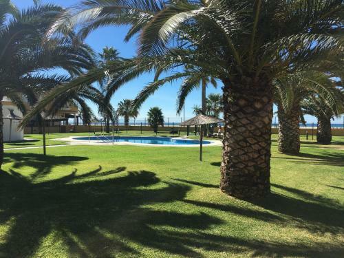 Apartamento La Tortuga