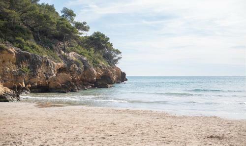 Apartamento En La Playa La Mora