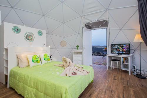 Eco Dome Experience