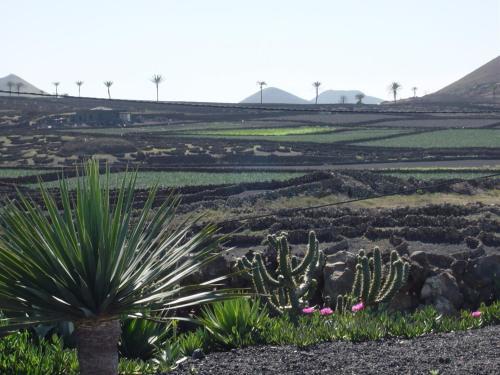Agroturismo Bodega