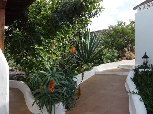 Agroturismo Bodega