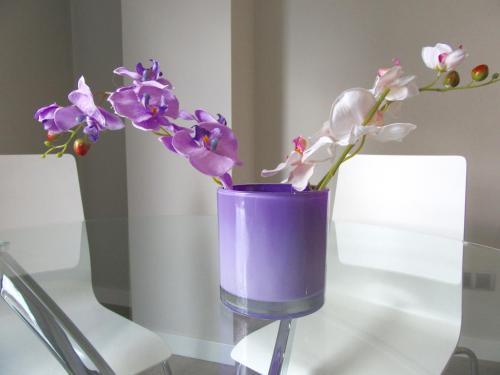 Apartamentos Eleden Toledo