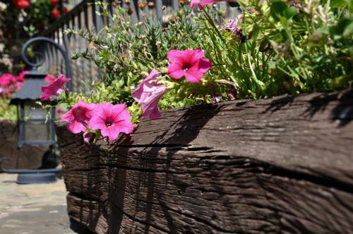 Apartamento Casa Montse