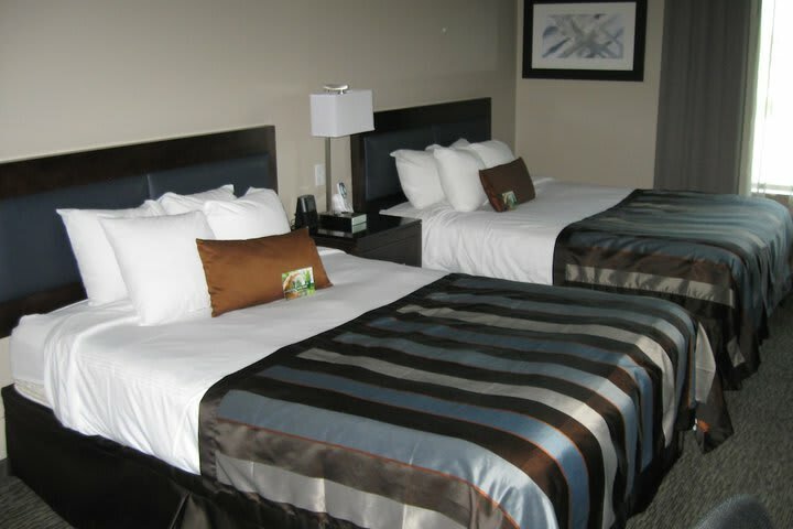 Hotel Wingate By Wyndham Fargo