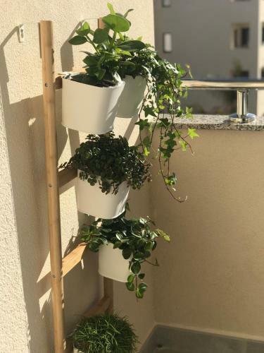 Apartamento A&n La Vega