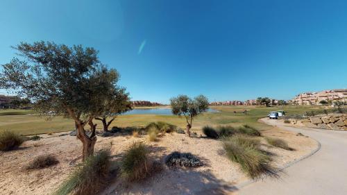 Apartamento Gingko 278656 - A Murcia Holiday Rentals Property