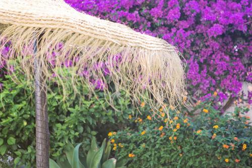 Apartamento Benalm�dena Estudio