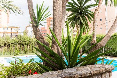 Torremolinos Beach Apartment