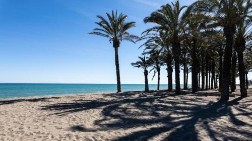 Apartamento Estudio La Colina 1116