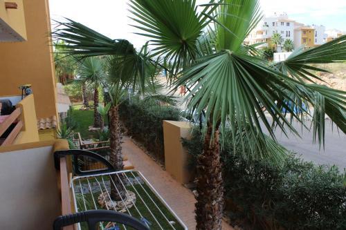 Apartment Mar De Fondo 2 C