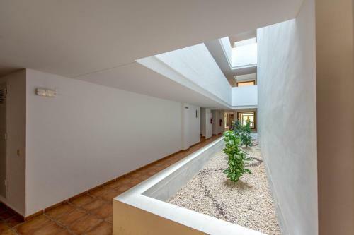 Apartamento Bennecke Mozart