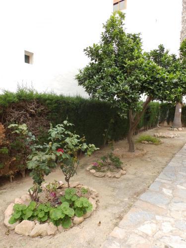 Apartamento Alegria Id39