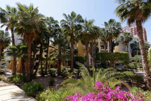 Apartment Aldea