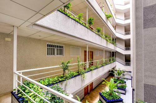 Apartamento Globus Goleta
