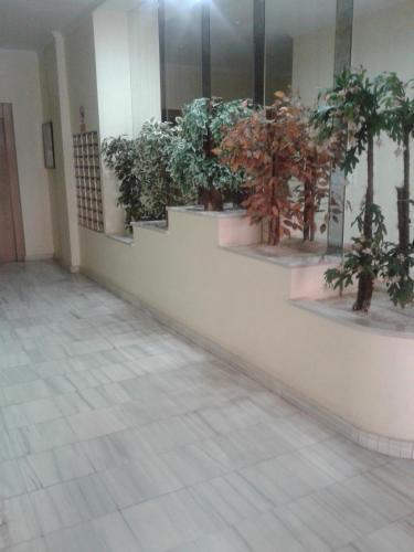 Apartamento Purisima, 49