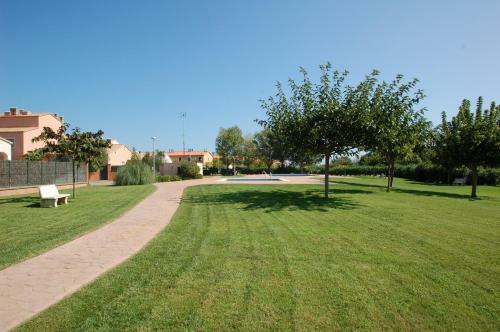 Dar� 2d 36 Mas Pinell