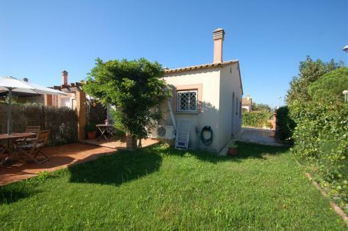 Dar� 2d 135 Mas Pinell