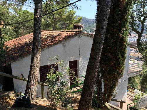 Panoramic View Apartments