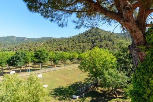 Apartamentos Tossa Dreams