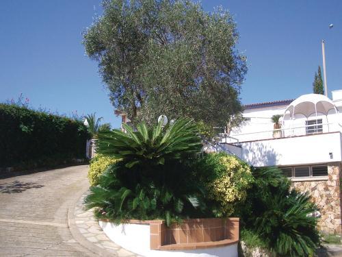Holiday Home Tossa De Mar 02
