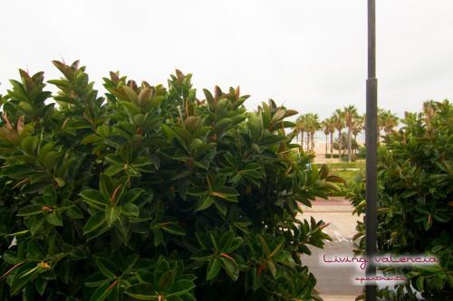 Apartamento Living Valencia - Malvarrosa Beach