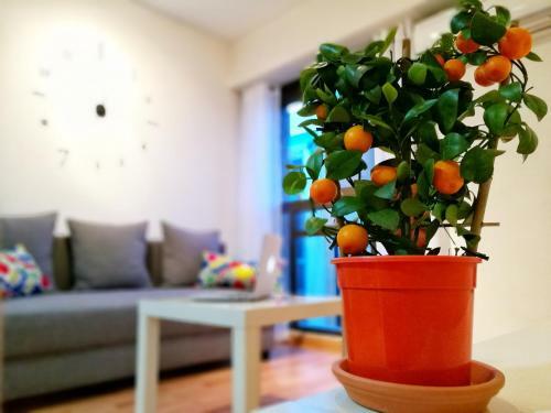 Apartamento Spain Host San Vicente