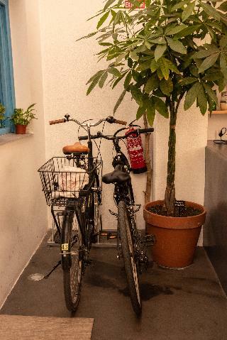 Hostal Cantagua Hostel