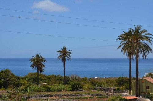 Apartamento Apt. Heliconia N� 4