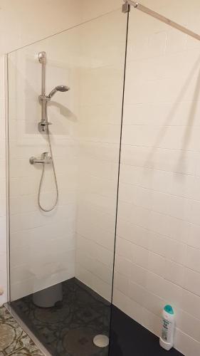 Viola Apartment