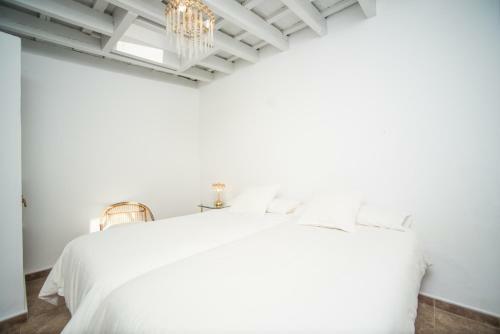 Apartamento Casa El Atelier