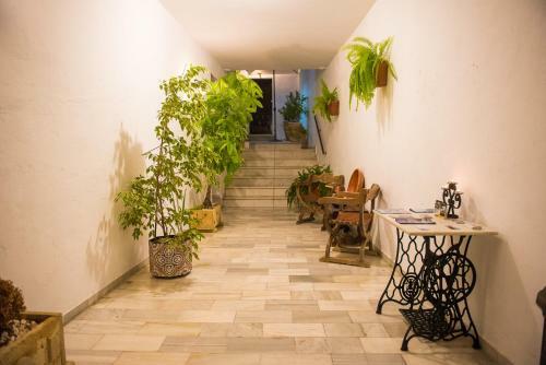 Apartamento Casa El Atelier