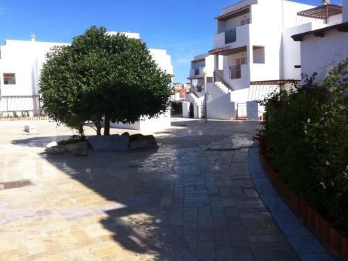 Apartment In Vera 105830
