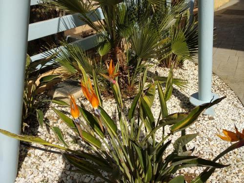 Apartamento Playas Del Sur