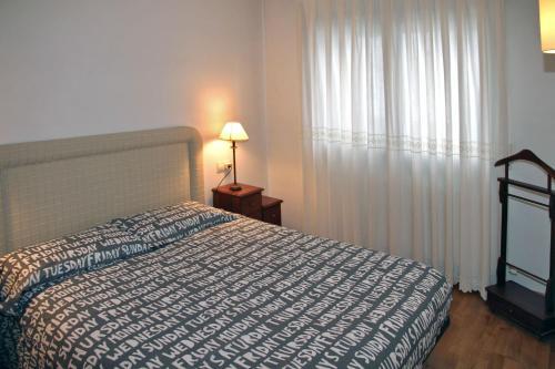 Apartamentos Vielha X