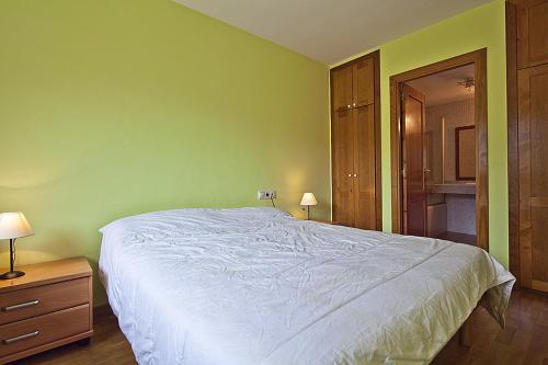 Apartamentos Vielha IV