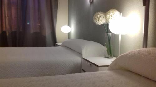 Hotel Q Viveiro