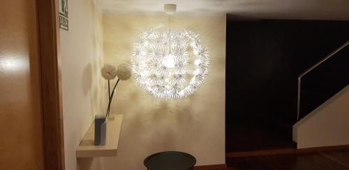 Hotel Q Viveiro