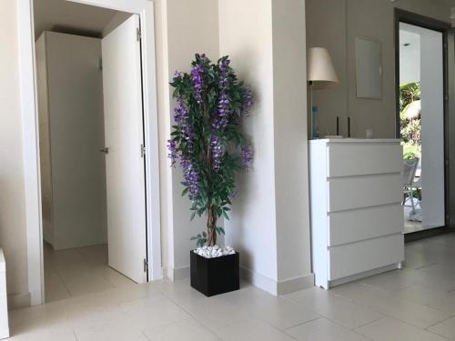 Apartamento Azalea