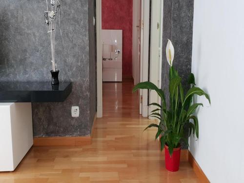 Apartamento 18 Torres San L�zaro