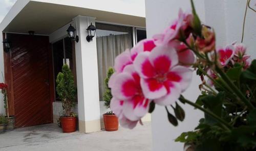 Apartamento Carpe Diem Guest House