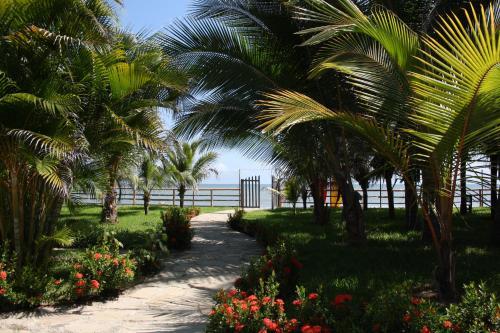 Hotel Entre Palmeras