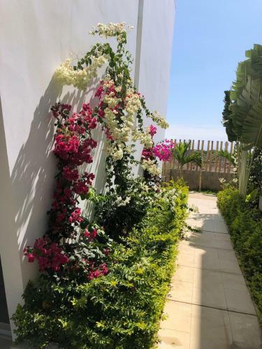 Apartamento Condominio Las Palmeras De Bocapan Dpto 107