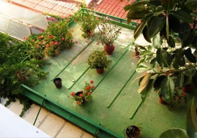 Hotel Aristea