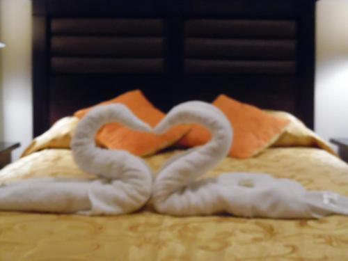 Hotel Los Andes Suite