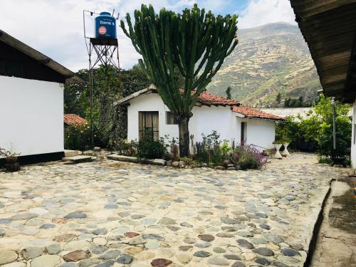 Bed & Breakfast Hospedaje Campestre Bertila