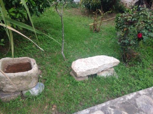 Bed & Breakfast Hospedaje Campestre Bertila